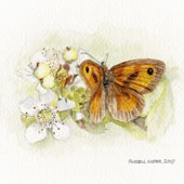 Russell Lister Wildlife Artist